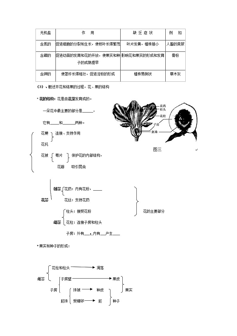 北师大版生物八年级下册 7.22.3 植物的主要类群(5) 教案第3页