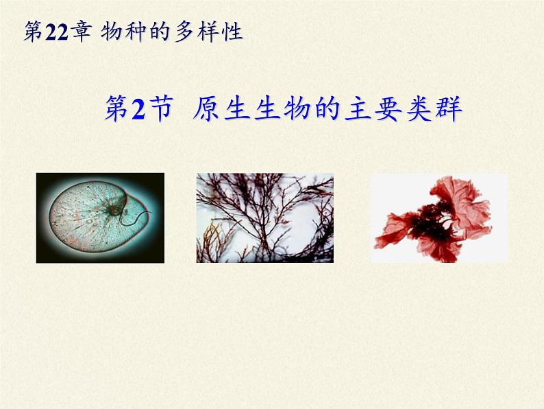 北师大版生物八年级下册 7.22.2 原生生物的主要类群(3) 课件03