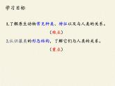 北师大版生物八年级下册 7.22.2 原生生物的主要类群(3) 课件
