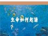 北师大版生物八年级下册 7.21.1 生命的起源 课件
