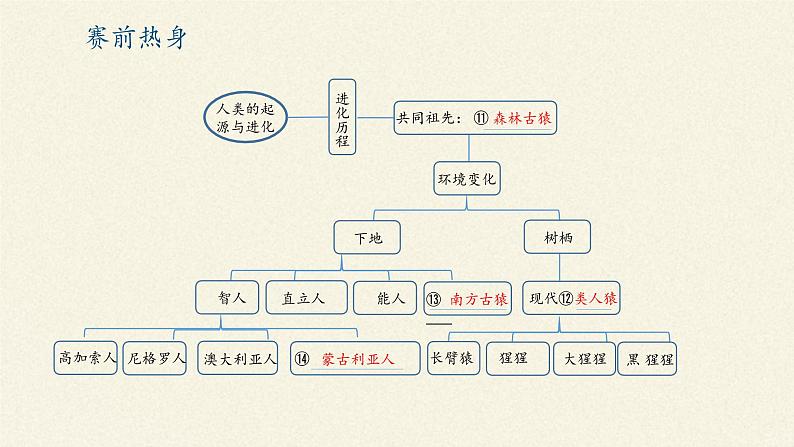 北师大版生物八年级下册 7.21.1 生命的起源(5) 课件05