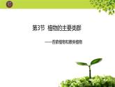 北师大版生物八年级下册 7.22.3 植物的主要类群 (2) 课件