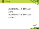 北师大版生物八年级下册 7.22.3 植物的主要类群 (2) 课件