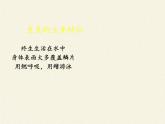 北师大版生物八年级下册 7.22.4 动物的主要类群(15) 课件