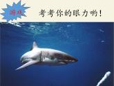 北师大版生物八年级下册 7.22.4 动物的主要类群(7) 课件