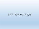北师大版生物八年级下册 7.22.4 动物的主要类群(19) 课件