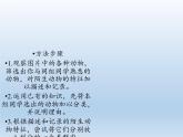 北师大版生物八年级下册 7.22.4 动物的主要类群(19) 课件