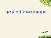 北师大版生物八年级下册 7.22.2 原生生物的主要类群(2) 课件