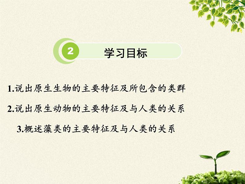 北师大版生物八年级下册 7.22.2 原生生物的主要类群(2) 课件第5页