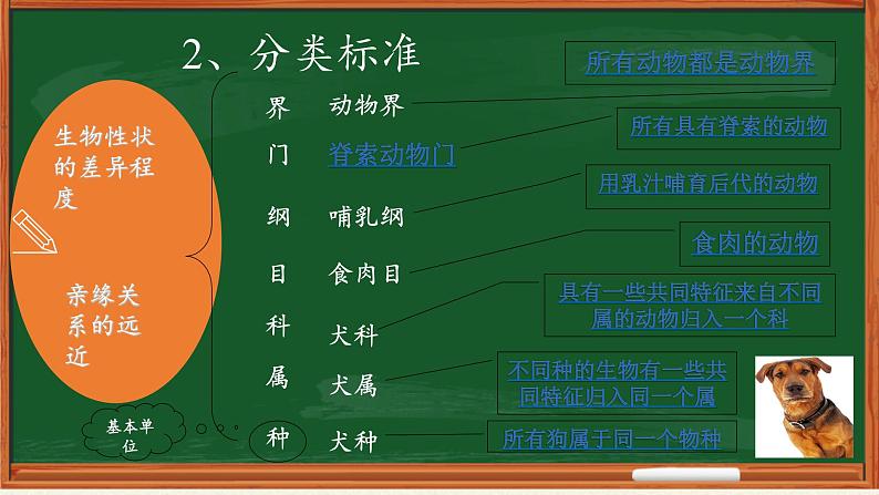 北师大版生物八年级下册 7.22.1 生物的分类(2) 课件第8页