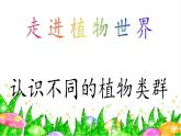北师大版生物八年级下册 7.22.3 植物的主要类群(7) 课件
