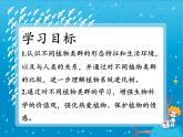 北师大版生物八年级下册 7.22.3 植物的主要类群(7) 课件