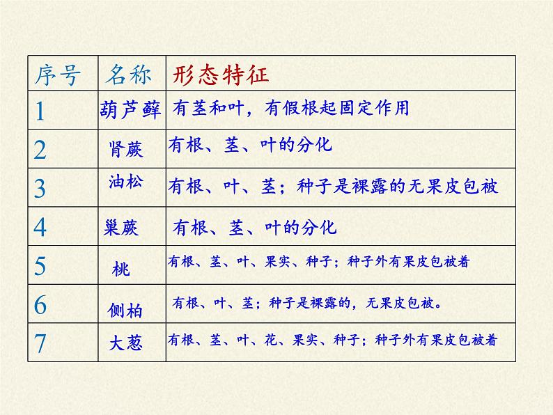 北师大版生物八年级下册 7.22.3 植物的主要类群(7) 课件07