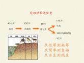 北师大版生物八年级下册 7.22.4 动物的主要类群(2) 课件