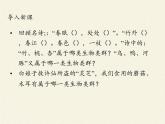 北师大版生物八年级下册 7.22.2 原生生物的主要类群(5) 课件