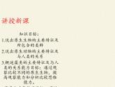 北师大版生物八年级下册 7.22.2 原生生物的主要类群(5) 课件