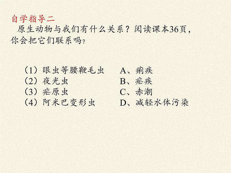 北师大版生物八年级下册 7.22.2 原生生物的主要类群(5) 课件第8页