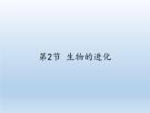 北师大版生物八年级下册 7.21.2 生物的进化(6) 课件