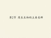 北师大版生物八年级下册 7.22.2 原生生物的主要类群(1) 课件