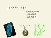 北师大版生物八年级下册 7.22.2 原生生物的主要类群(1) 课件