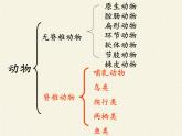 北师大版生物八年级下册 7.22.4 动物的主要类群(5) 课件
