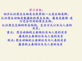 北师大版生物八年级下册 7.22.2 原生生物的主要类群(7) 课件