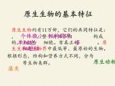 北师大版生物八年级下册 7.22.2 原生生物的主要类群(7) 课件
