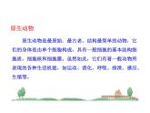 北师大版生物八年级下册 7.22.2 原生生物的主要类群_ 课件