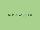 北师大版生物八年级下册 7.22.4 动物的主要类群(8) 课件