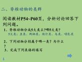 北师大版生物八年级下册 7.22.4 动物的主要类群(8) 课件
