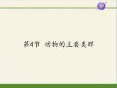 北师大版生物八年级下册 7.22.4 动物的主要类群(10) 课件