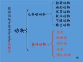 北师大版生物八年级下册 7.22.4 动物的主要类群(10) 课件