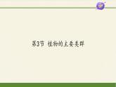 北师大版生物八年级下册 7.22.3 植物的主要类群(8) 课件