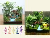 北师大版生物八年级下册 7.22.3 植物的主要类群(6) 课件