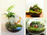 北师大版生物八年级下册 7.22.3 植物的主要类群(6) 课件