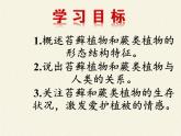 北师大版生物八年级下册 7.22.3 植物的主要类群(6) 课件