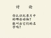 北师大版生物八年级下册 7.22.4 动物的主要类群(17) 课件