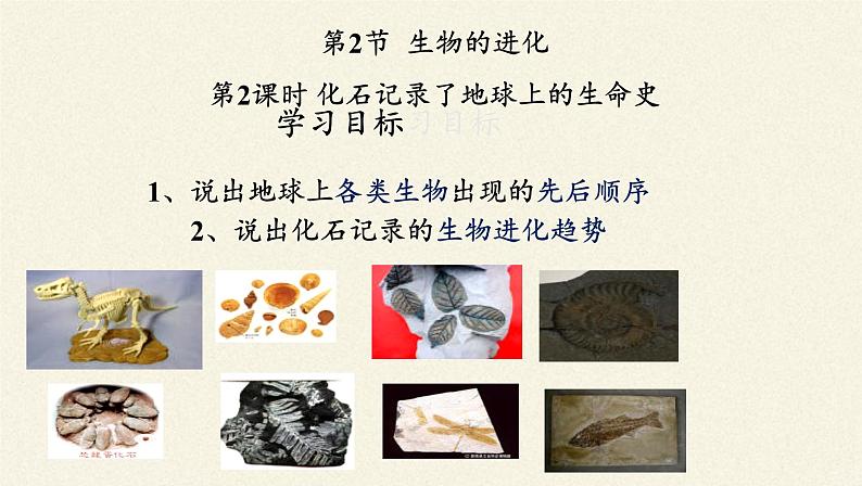 北师大版生物八年级下册 7.21.2 生物的进化(3) 课件第2页