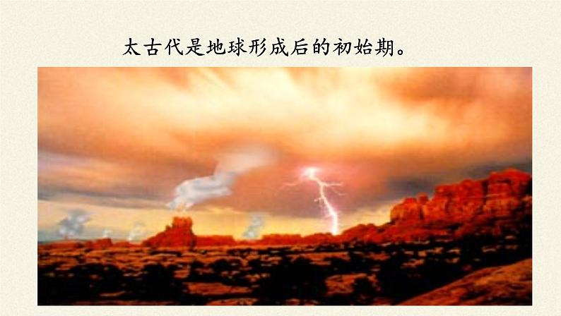 北师大版生物八年级下册 7.21.2 生物的进化(3) 课件第6页