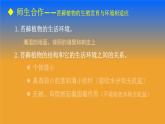 北师大版生物八年级下册 7.22.3 植物的主要类群(4) 课件