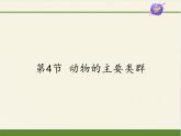 北师大版生物八年级下册 7.22.4 动物的主要类群(14) 课件