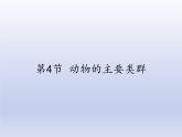 北师大版生物八年级下册 7.22.4 动物的主要类群(18) 课件