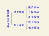 北师大版生物八年级下册 7.22.3 植物的主要类群(2) 课件