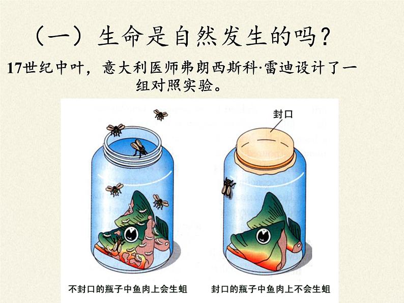 北师大版生物八年级下册 7.21.1 生命的起源(3) 课件第4页