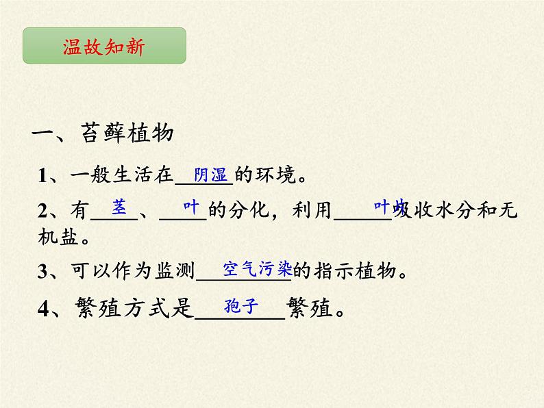 北师大版生物八年级下册 7.22.3 植物的主要类群(1) 课件05