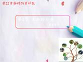 北师大版生物八年级下册 7.22.1 生物的分类(1) 课件