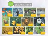 北师大版生物八年级下册 7.22.1 生物的分类(1) 课件