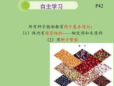 北师大版生物八年级下册 7.22.3 植物的主要类群(5) 课件