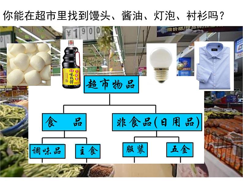 北师大版生物八年级下册 7.22.1 生物的分类 课件02