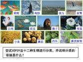 北师大版生物八年级下册 7.22.1 生物的分类 课件